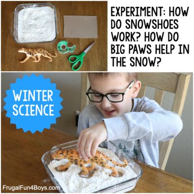科学实验:雪鞋是如何工作的