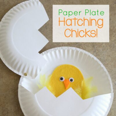 纸盘工艺:孵小鸡!